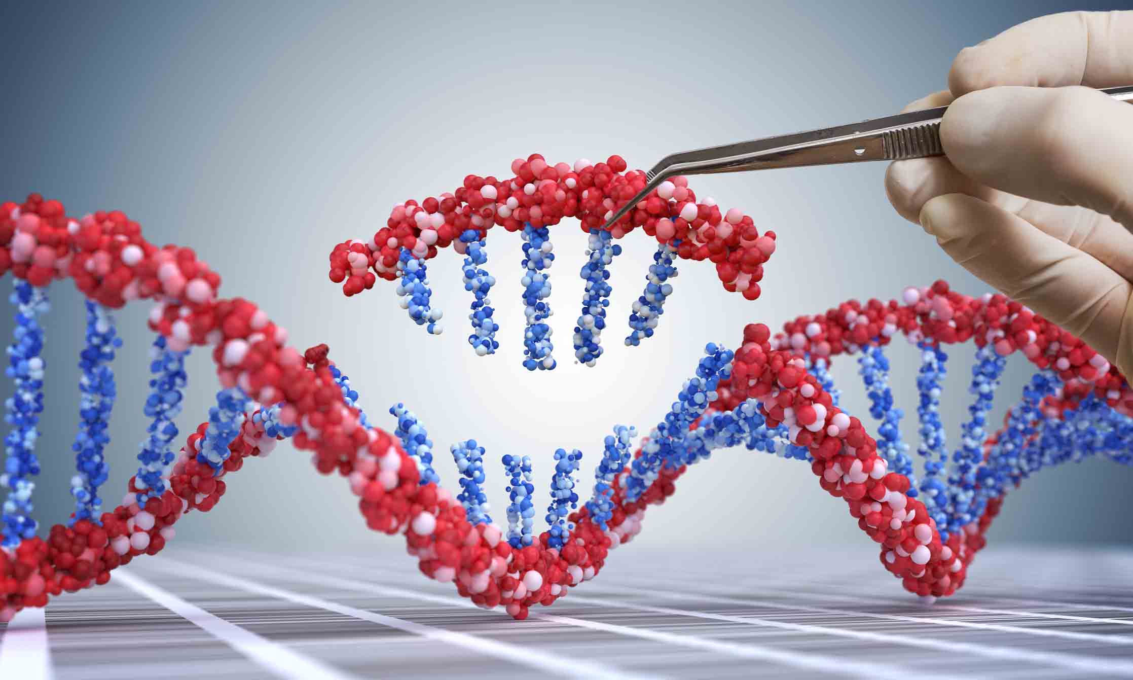 Gene Manipulation and Cloning Vectors